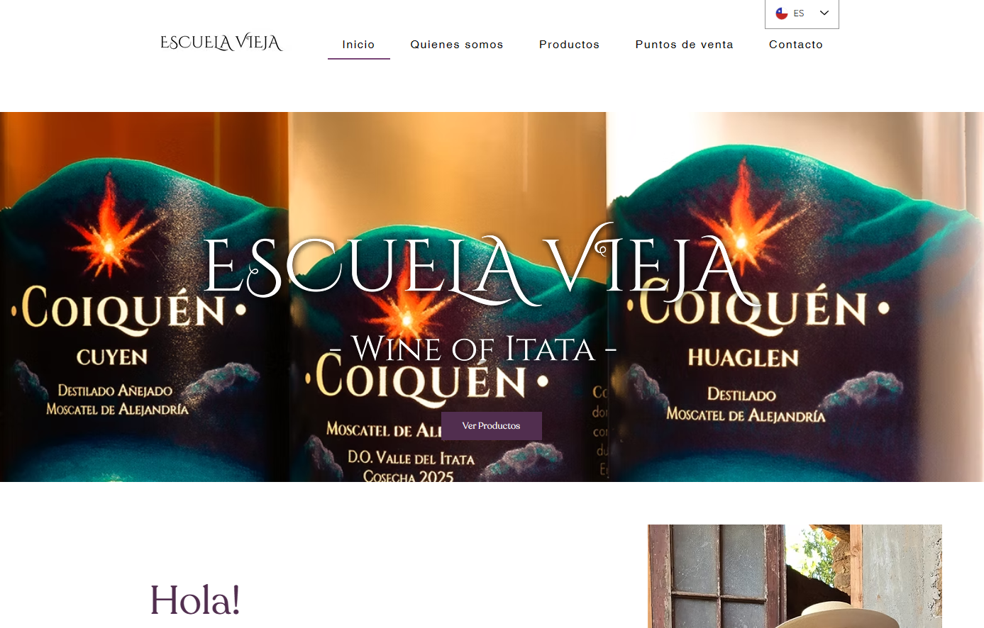 Opera Snapshot_2025-10-28_142727_www.escuelavieja.cl