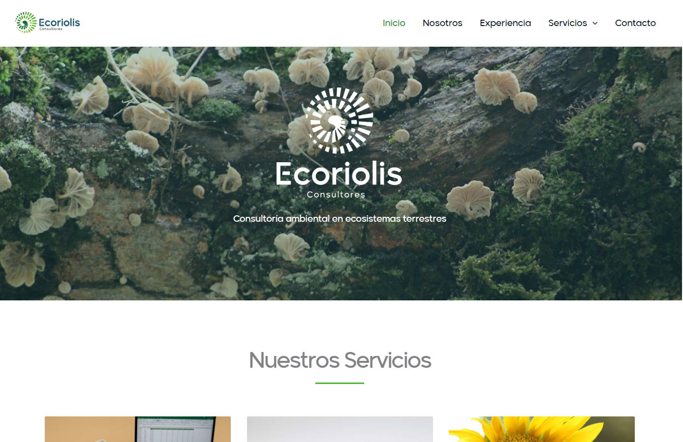 Opera Snapshot_2025-10-28_142813_ecoriolis.cl